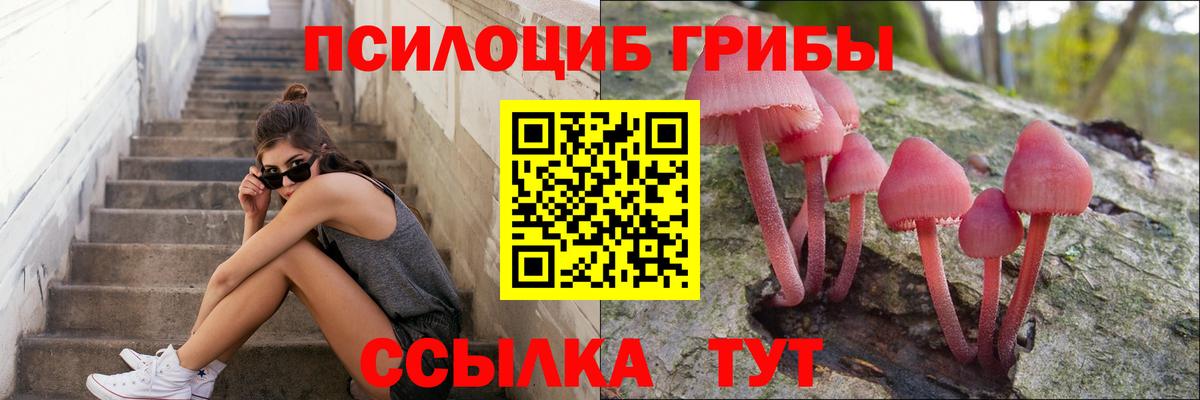 где найти   Вход с VPN  Бугульма  Галлюциногенные грибы MAGIC MUSHROOMS 