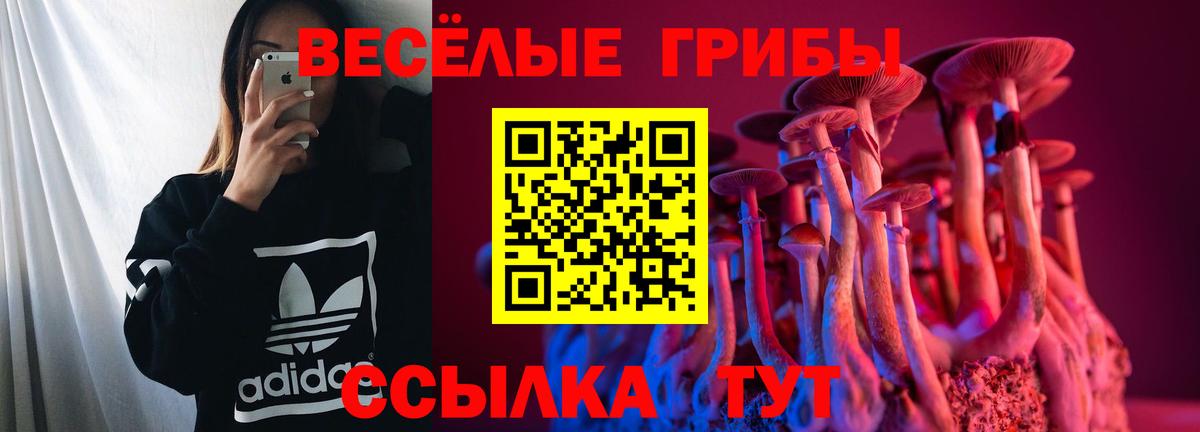 Галлюциногенные грибы ЛСД Бугульма